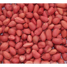 Raw Red Skin Peanuts
